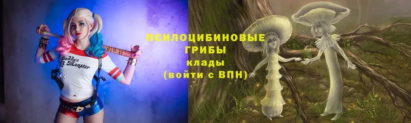 Галлюциногенные грибы MAGIC MUSHROOMS  Тосно 